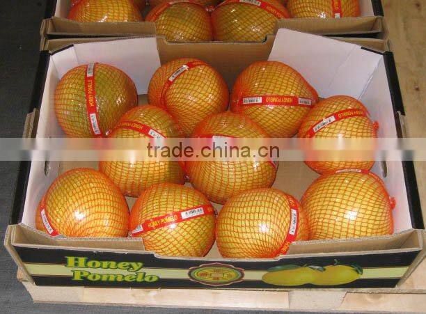 fresh honey pomelo