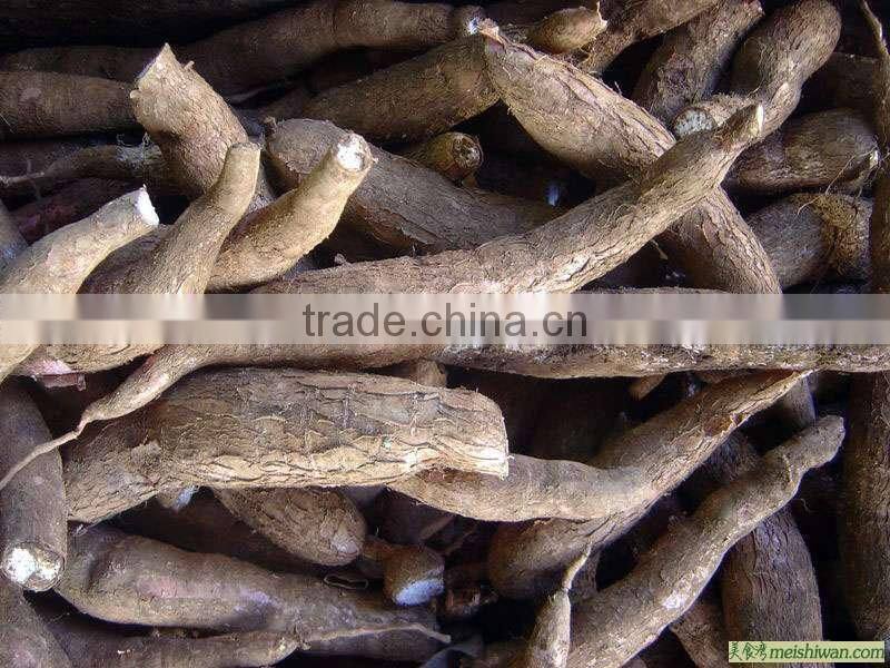 Cheap!!New functional cassava starch extraction machine