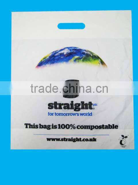 degradable bag