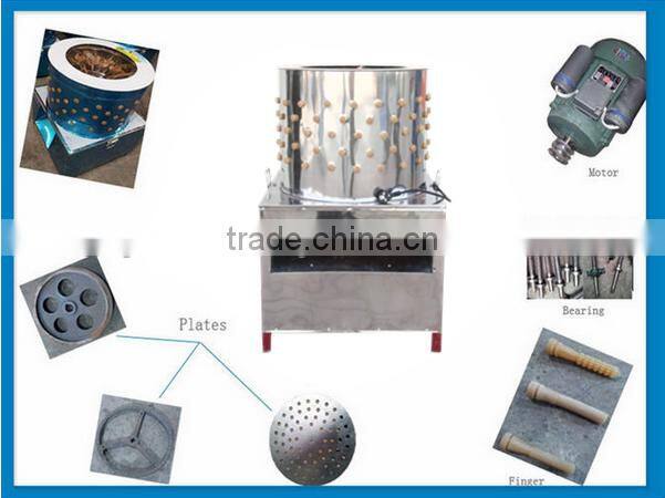 Golden supplier poultry hair removal machine manufacturer