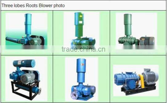 roots blower biogas booster pump