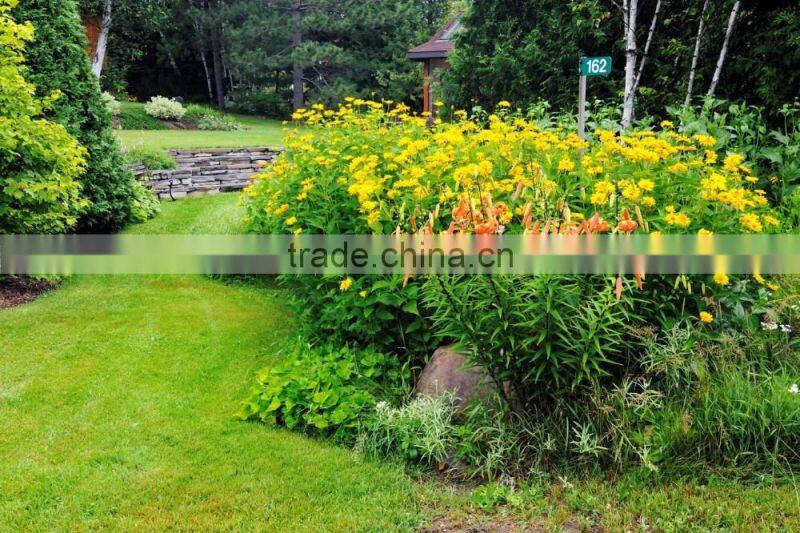 Natural looking 50mm height artificial grass for garden