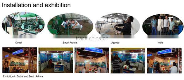 nail production line