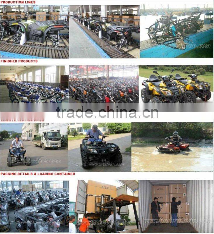 NEW ELECTRIC DIRT BIKE ENVIRONMENTAL(MC-203)