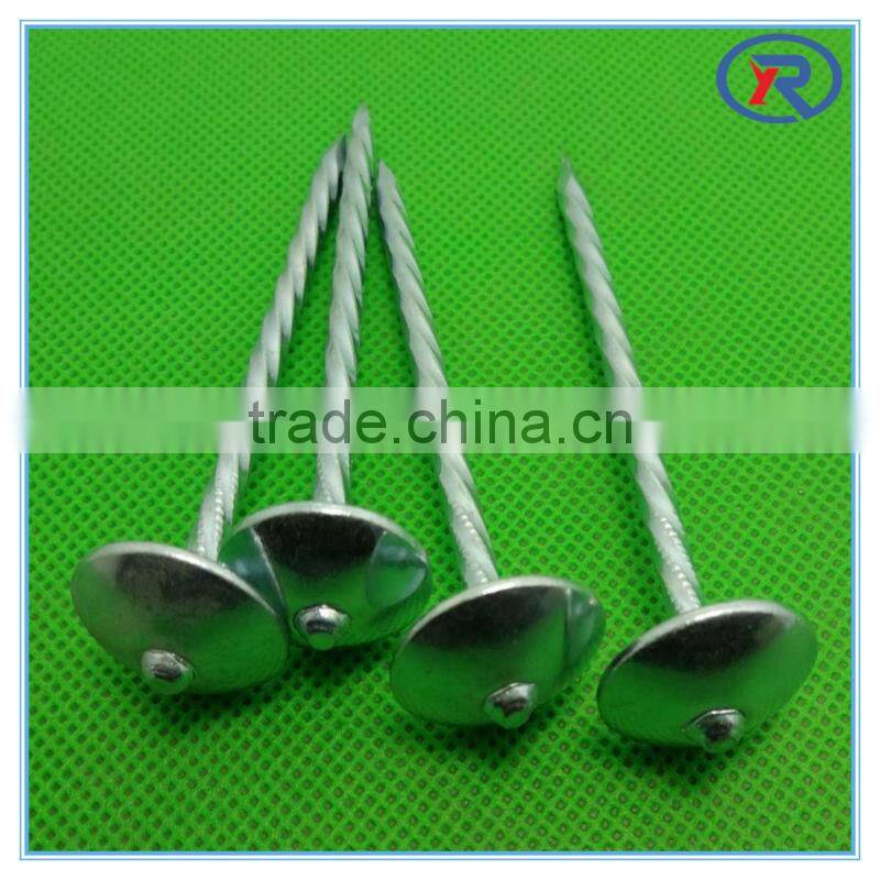 Umbrella head roofing nails and construction nails
