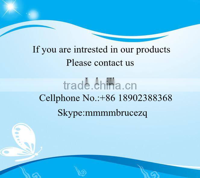 Hot Sale Mini Electric Griddles(ZQ300)