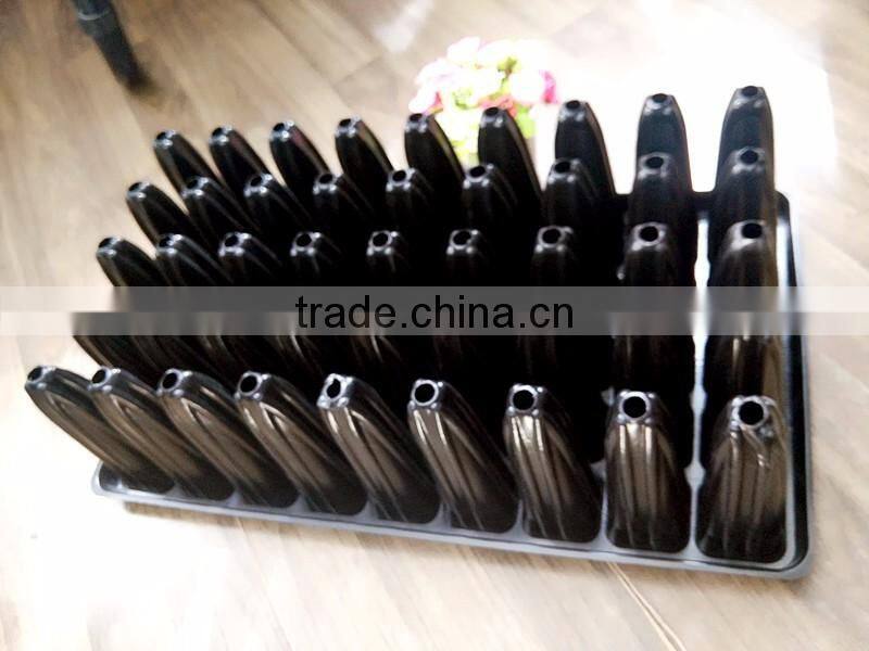 deep forest seed growing tray, tree seed propagator