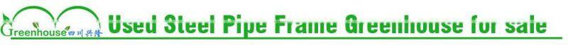 Used Galvanized Steel Pipe Frame Tunnel Greenhouse for Sale