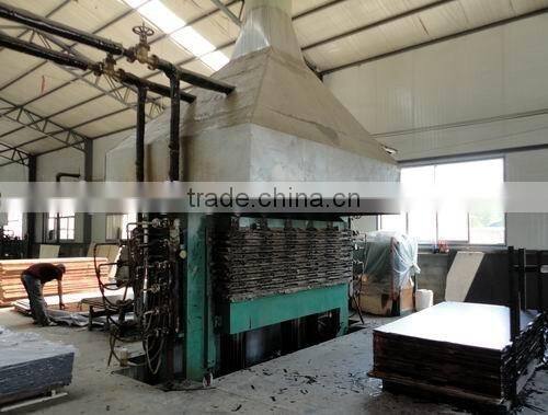 Wood Hydraulic Hot Press Machine/Hot Press for Plywood Production
