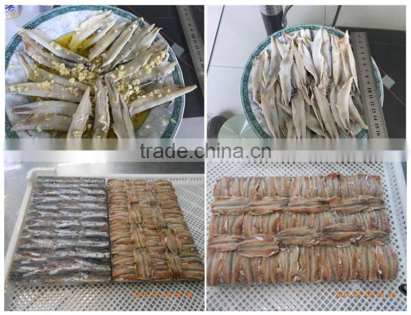 salted anchovy in barrel