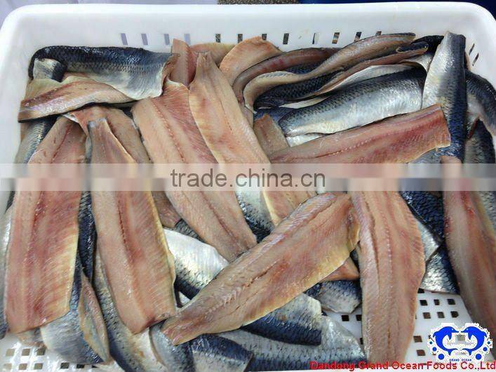 seafood frozen wild herring fillet