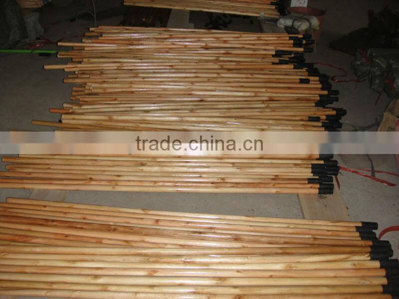 Household broom with handle--green and blue pvc coat handle