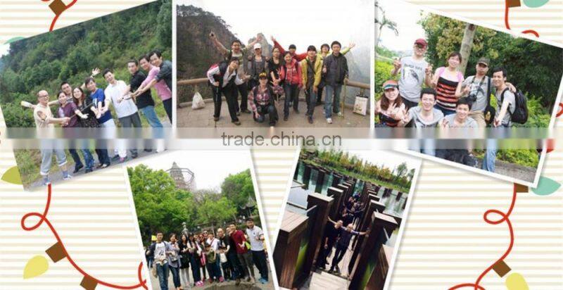 Wholesale new arrival gs approved 100% carbon nordic walking stick