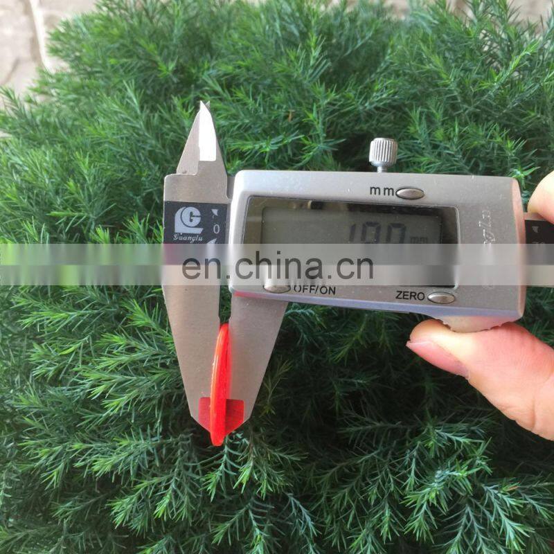 SGS printing the logo shopping trolley Plastic PS fruit coins