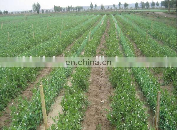 Climbing plant support trellis netting