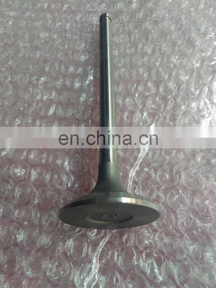 4B3.3 intake and exhaust Valve 6207414110