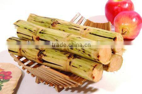 High effficiency vertical sugar cane juicer