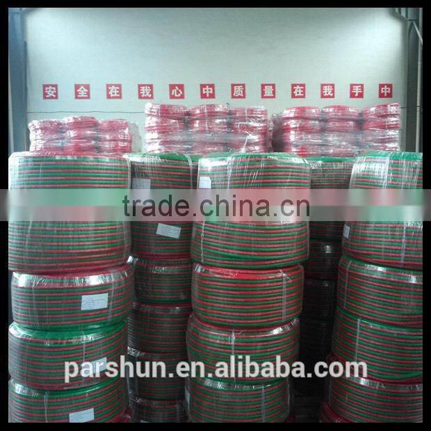 Chinese Manufacturer 1/4 Inch x 10m Double Line Hose