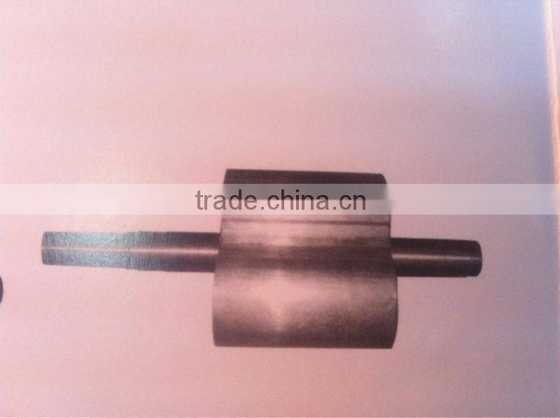 two lobes roots blower