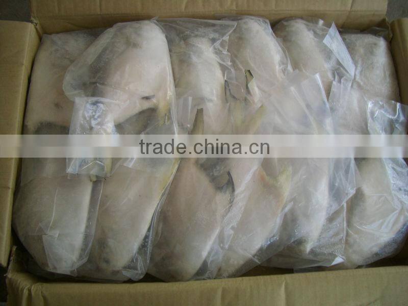 Frozen golden pompano