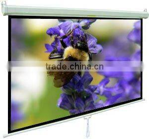 Projector Screens / Manual Projector Screens