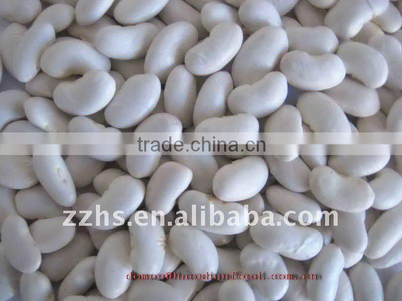 Canned Kidney Beans Canned White Beans in Brine