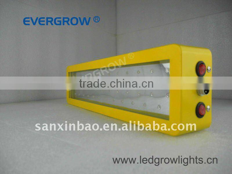 100W yellow led chips high power led grow light panel EG-50*3W-GPY-SXB