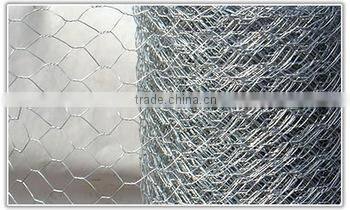 stainless steel hexagonal mesh (professional factory)