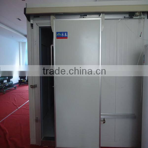 stainless steel frozen cold room door