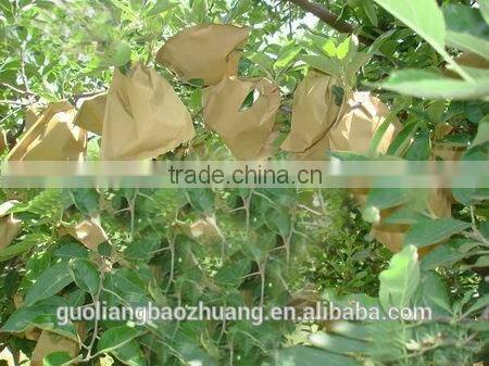 Resistant To Water Insect Against Protection Fruit Paper Bag