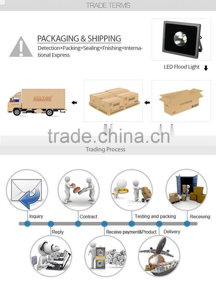 High lumen Waterproof Bridgelux COB IP65 Outdoor 300w led flood light