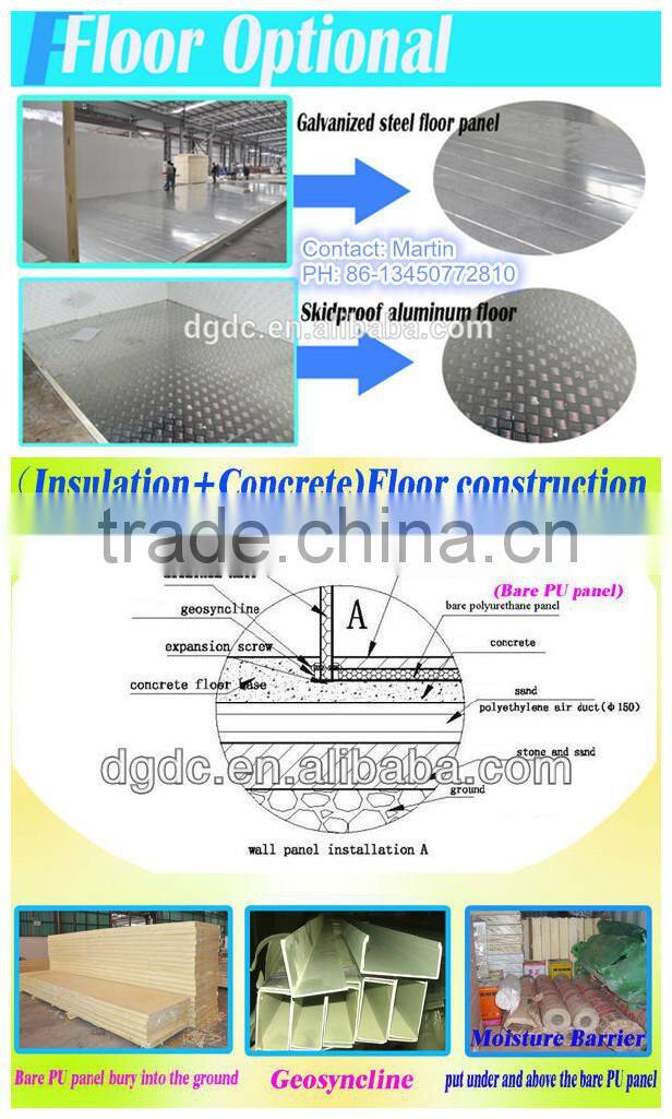 PU Insulation Freezer Meat Storage Room
