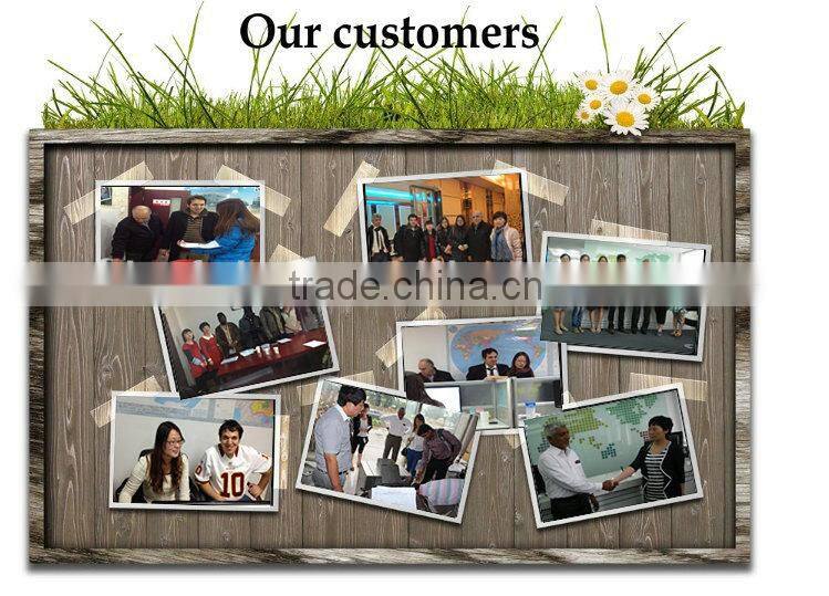 Made in China Best Price Professional Machine Industrial Potato Chips Cutting Machine