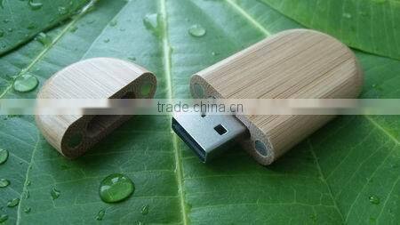 recycled usb pendrive bamboo usb flash memory Wood USB flash drive