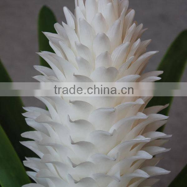 Artificial coated Phalaenopsis Orchids bonsai