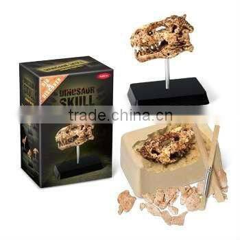 Mid Dinosaur Skull Dig Kit with stand, 6 assorted, 24pcs per display.