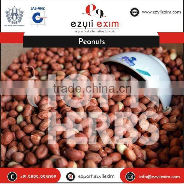 Most Trusted Dealer Supplying Organic Raw Peanuts at Leading Market Rate