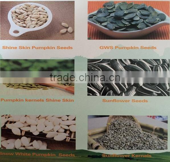 Inner Mongolia seeds sunflower 5009