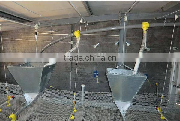 Huabo silos for chickens