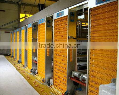 egg collection system for poultry farms in kenya