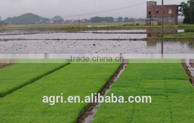 SBL-280 High quality Chinese seeder planter transplanter