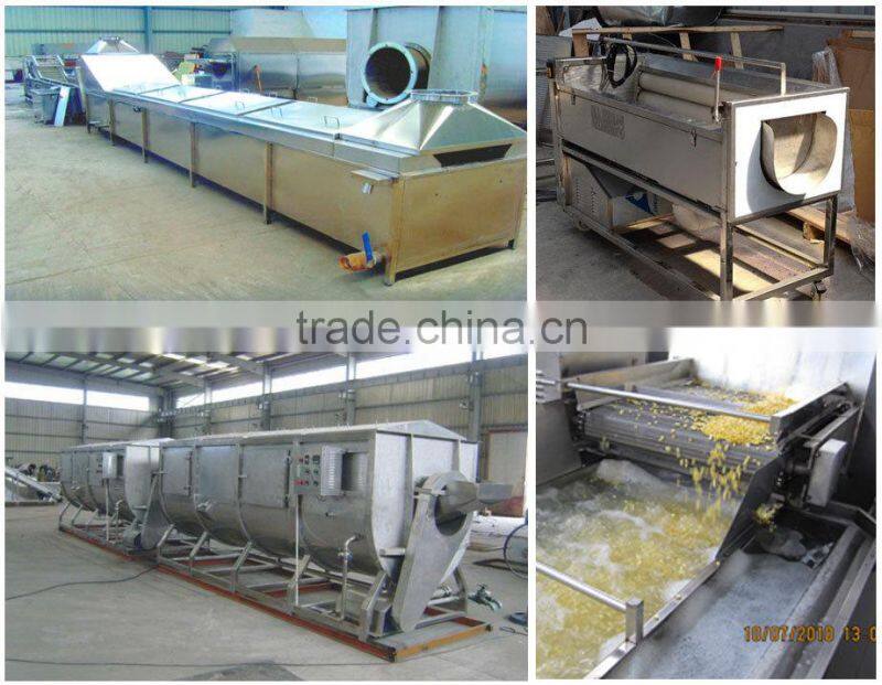 Vegetables and fruits dehydrator chilli drying line