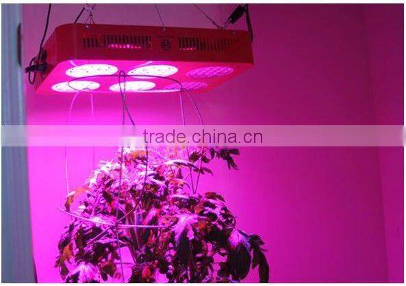 2012 new design and latest technology,broad spectrum led grow lights ,120w led grow light for growing plant and flowering