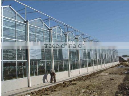 Large size commercial glass greenhouse for sale