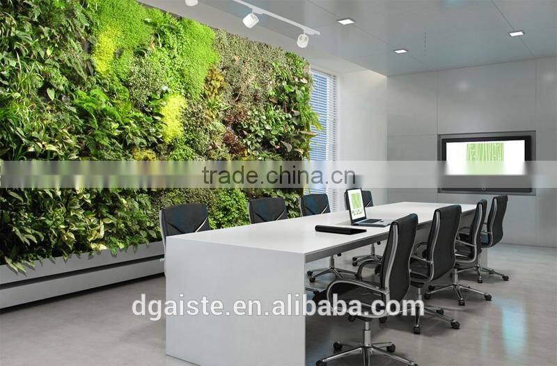 indoor green wall succulent plant or leafy plant combination with the soft foam backing