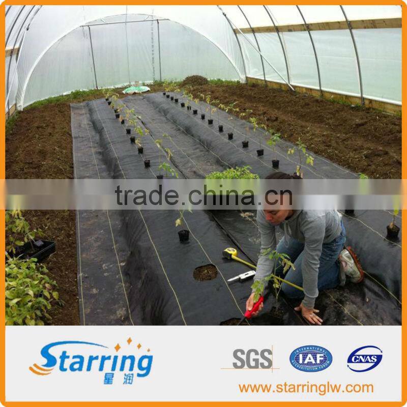 PP Agriculture Mulching Woven Film for Landscape and Weed Control