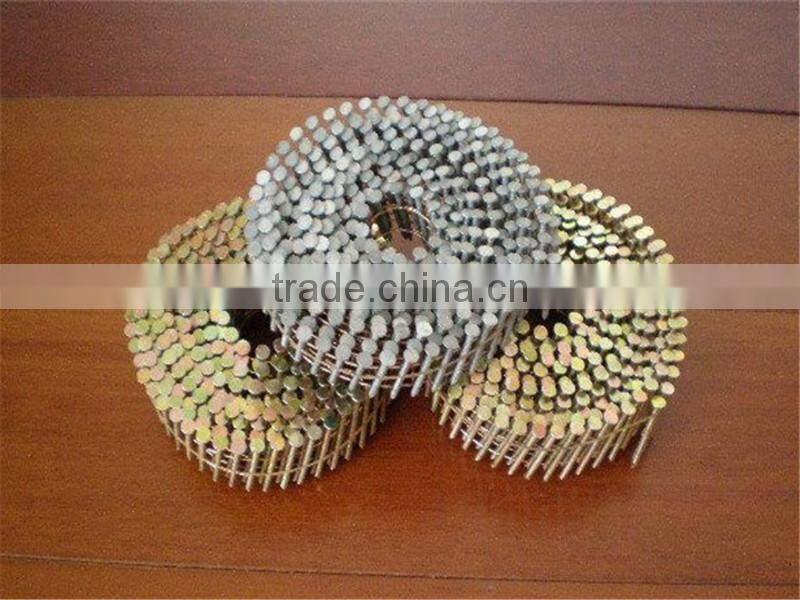 America Standard EG Roofing coil nails