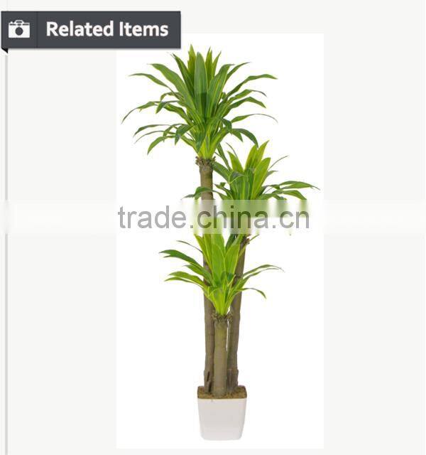 Artificial indoor bonsai tree bamboo tree ficus houseplants for hall decoration