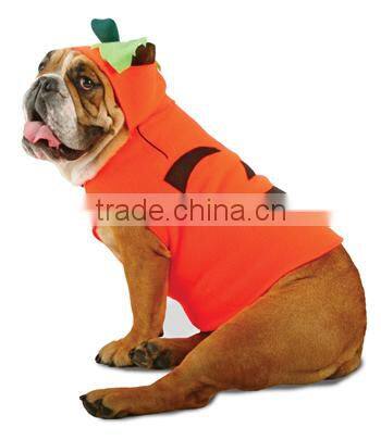 Zelda Pumpkin Pet Costume