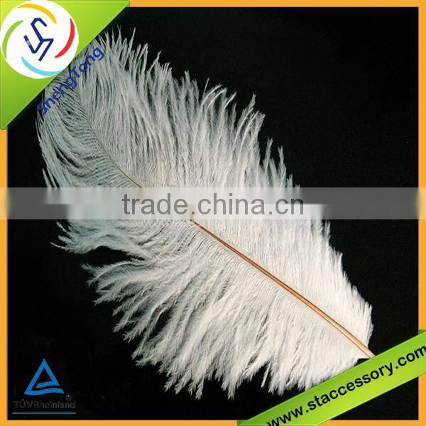 2015 popular wholesale feather plumes
